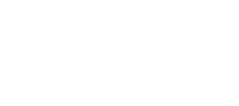 logo el fenix productos lacteos